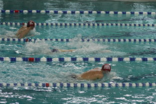 欧洲长池游泳赛：英国选手揽三金刷新两项记录，欧洲游泳锦标赛奖牌榜