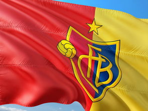 弗赖堡和巴塞尔近期表现对比，谁更具胜算？，弗赖堡吧